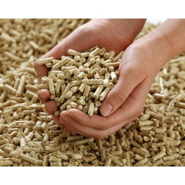 ISO Biomass Wood Pellets Machine 22KW 400kg/ H