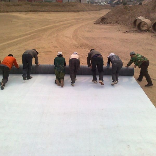 High Sealing Bentonite GCL Liner for Landfill Containment Waterproofing and Waste Isolation