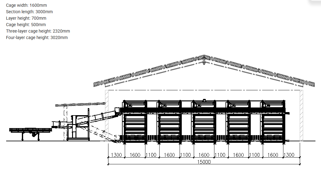Hot-Dip Galvanized Steel Broiler Cage System with 50-Year Warranty and Automatic Feeding System for Poultry Farming