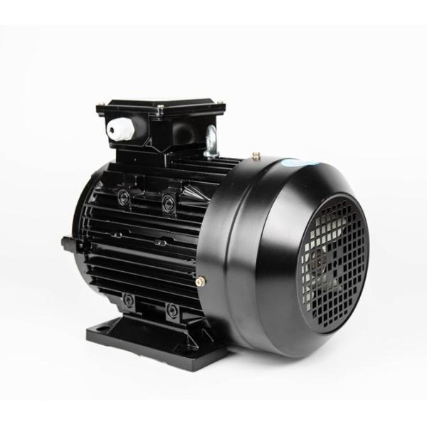 250kw Industrial Brushless Permanent Magnet Motor Rare Earth NdFeB Brushless PMAC Motor