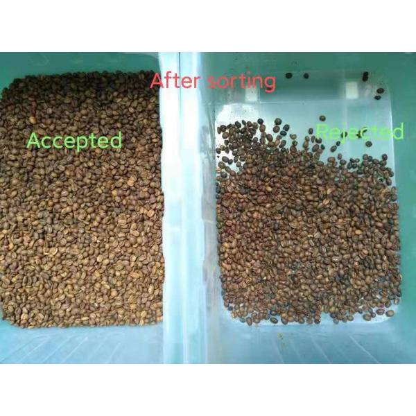 Кофейные зерна красят сортировщицу, электронные каналы сортировщицы 384 цвета 6 парашютов