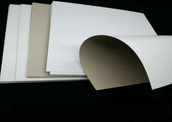 Mixed Pulp 300gsm Coated Duplex Board Grey Back for Packaging / Printing