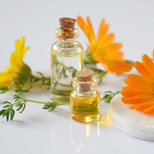 Enzymatic synthesis of fruit flavor esters by immobilized lipase