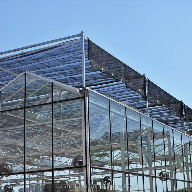 Shine Tech Automated Greenhouse Glass House Instruction Super Strong Resistance