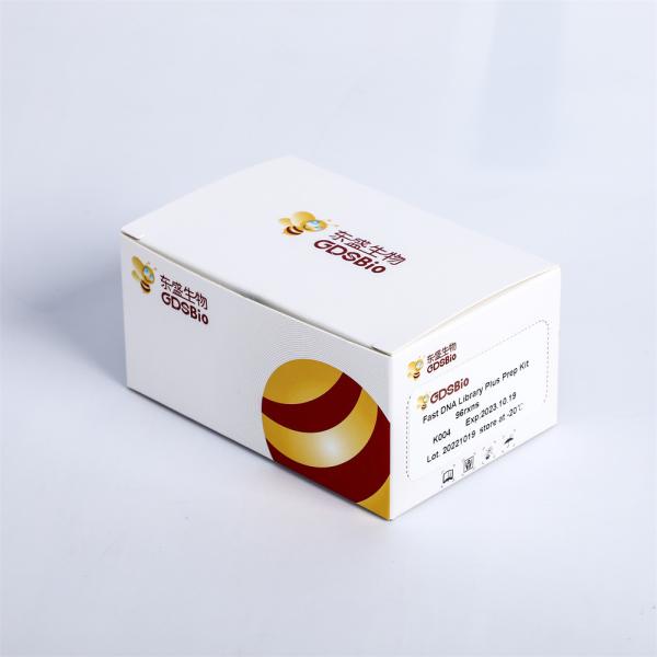 High Throughput Sequencing Platform NGS Library Construction Fast DNA Plus Prep Kit K004-A