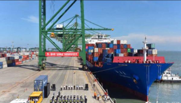 Brand Goods POS Machine International Freight DDP From China to Dubai By Sea Freight FCL LCL