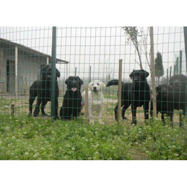 Plain Weave Livestock Fence Panels Security Holland Wire Mesh Fence