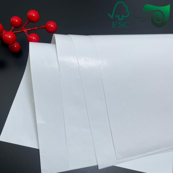 FSC 250g 260g RC Satin Inkjet Photo Paper Roll Pigment Ink Compatible 24 44 100ft
