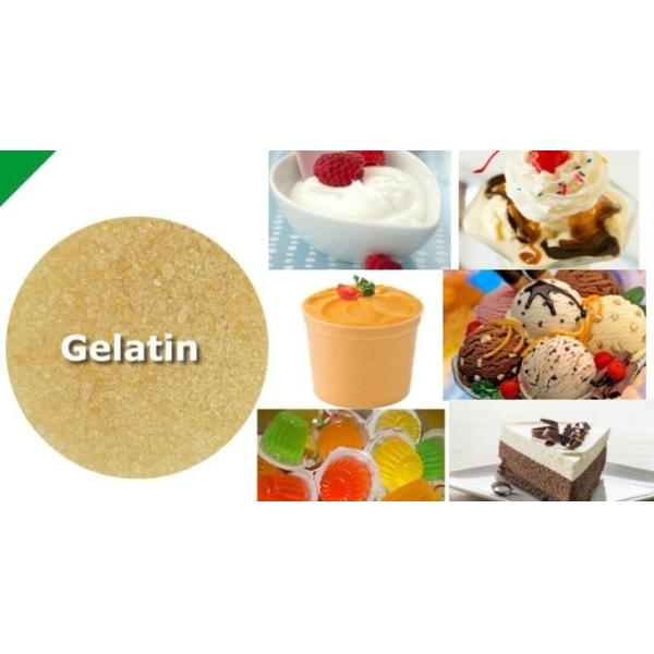 200-250 Bloom Gelatin Poudre de bœuf pour le yogourt Gelatin de vaches nourries à l'herbe