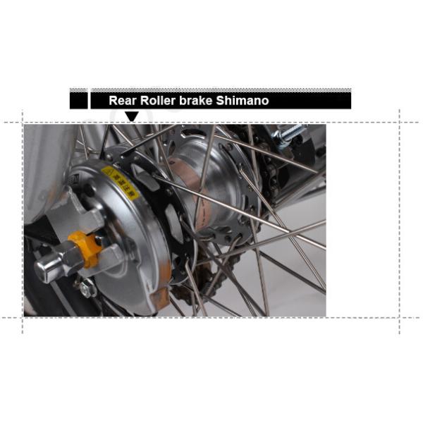 CE Approved 36V 250W White Electric Tricycles Lithium Battery 3 Wheel Electric Bike