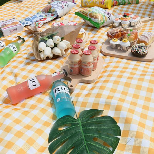 Waterproof Lightweight Outdoor Patio Mat Compact Picnic Camping Blanket