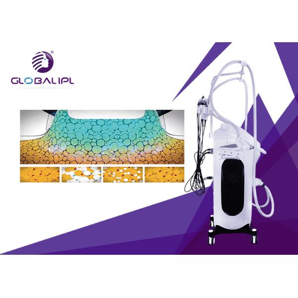 Máquina de dissolução gorda do RF Cryolipolysis CE da visualização ótica de tela táctil de 8,4 polegadas assegurado