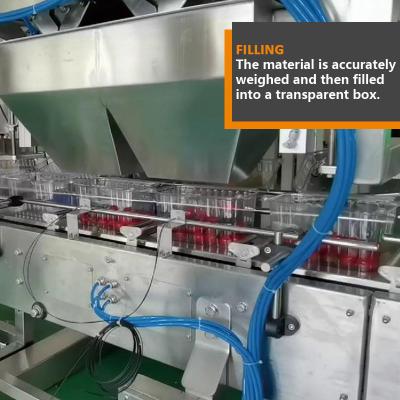 Fruto fresco que embala a máquina de enchimento pequena do tomate do grânulo automático do pesador de Multihead