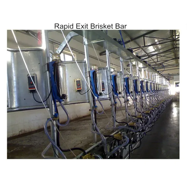 Dairy Cow Milking Parlor Equipment with Herringbone Layout Automatic Cup Remover and ISO Specification Mobile Milking Machine