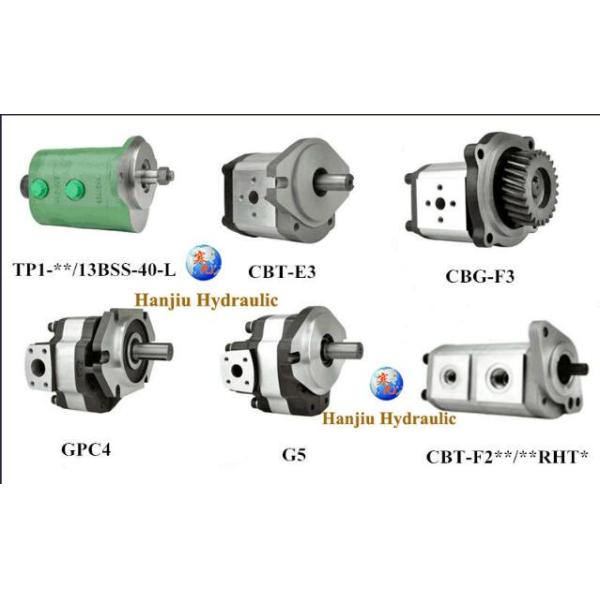 / FIAT / FORD Hydraulic Gear Pump A42XP4MS 16 MPa With 3 Gear Modulus