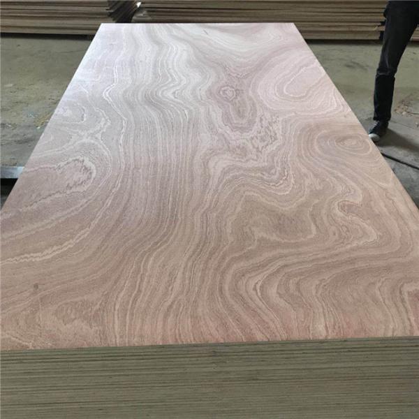 Sapele Core FSC 18mm 6mm 25mm Sapele Faced Plywood