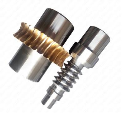 Non Standard Worm Gear Worm Wheel Stainless Steel Material 2 Module