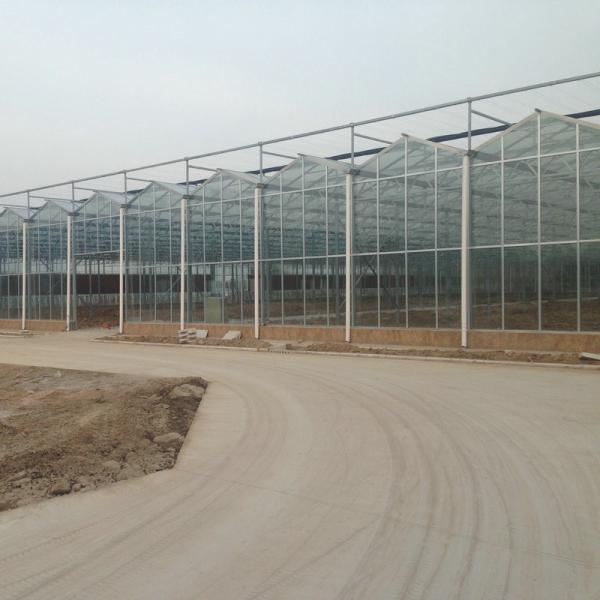 24 X 24 24 X 18 20x30 Venlo Custom Glass Greenhouse Cover Sides Polycarbonate Sheet Roof Covering For Tomatoes