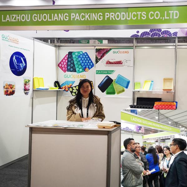 Persimmon Tray,Square Holes,popular in Israel, South Africa