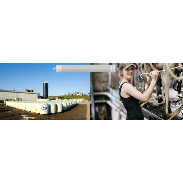 LED Tri-Proof Light Anti-Ammonia White Color Ik10 IP69K 0~10V Dim CCT Power Adjustable 170lm/W 1.6m for Diary Cow Sheep Farmyard Livestock