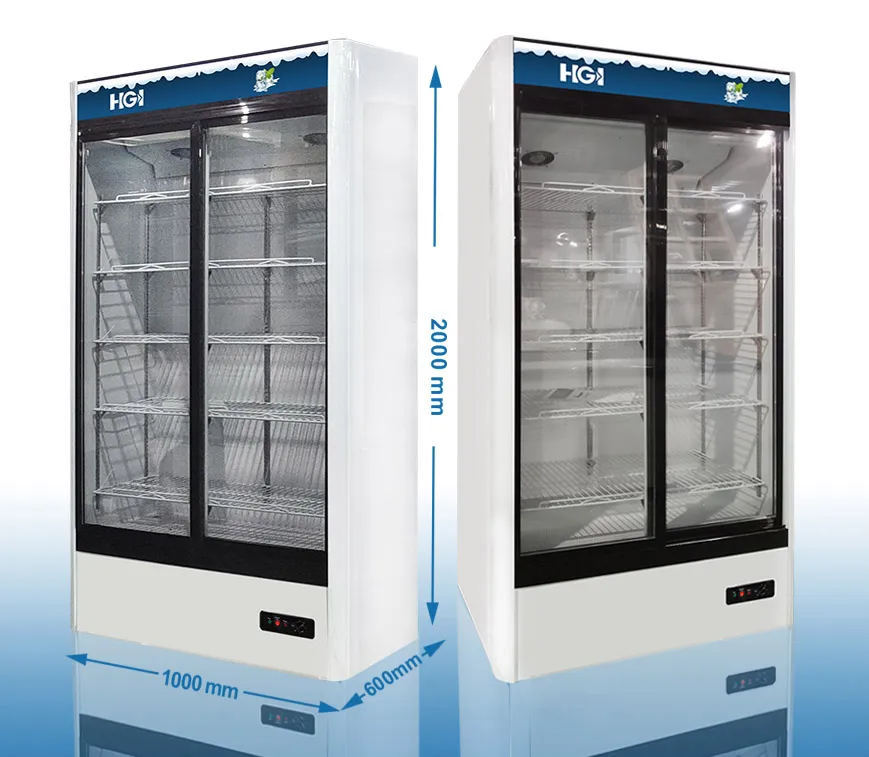 Display Counter Commercial Vertical Refrigerator Showcase Supermarket Shoecase Lsc660y