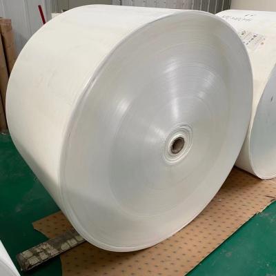 Le PE du diamètre 1.2m a enduit Rolls de papier petit pain de papier de stratification de 185 grammes