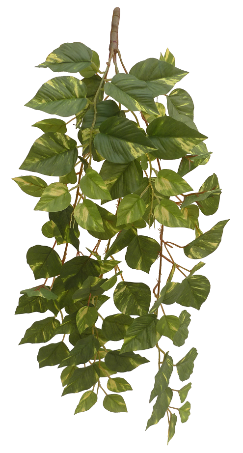 Полностью завод лозы высоты сезона 5pcs 80cm искусственный с листьями 88pcs