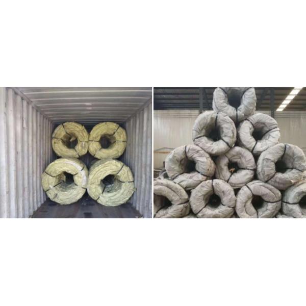 Анти- корозия BTO-28 BTO-22 гальванизировала колючую проволоку бритвы