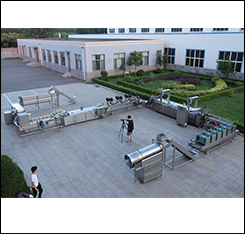 220V 380V Automatic Frozen French Fries Production Line For Meats