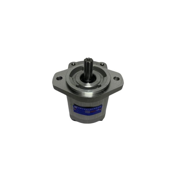 Long Working Life Steel Material Hydraulic Gear Pump Oil Pump for CPCD120-160 Forklift