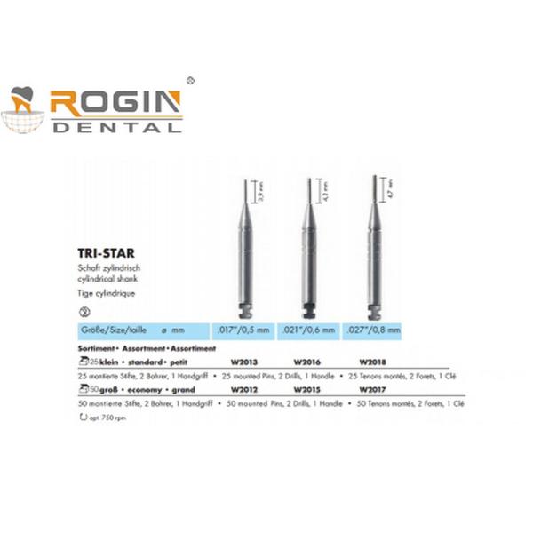 3 pinos de retenção de aço inoxidável de Parapulpal dos cargos do parafuso dos tamanhos para Retopins