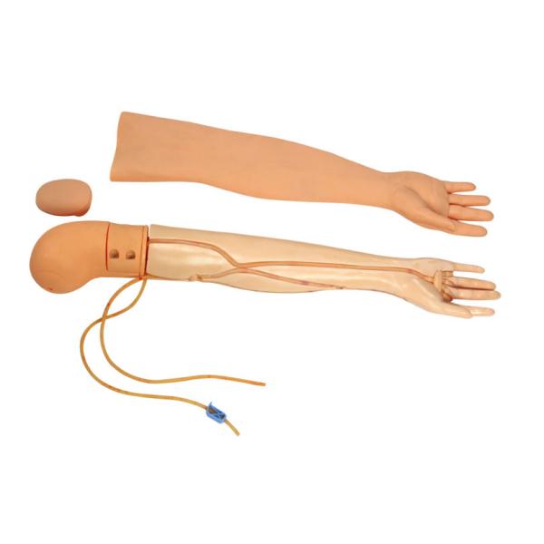 Multifunctional Venipucture Puncture and Transfusion Arm Nursing Manikin GD /