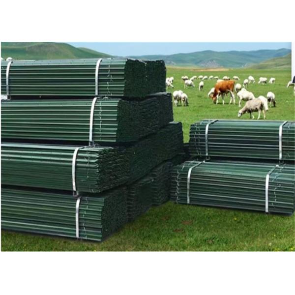 piquetes da estrela de 1.32kg/M Metal Star Picket 2400mm