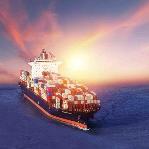 Service de livraison de DDU de la Chine aux États-Unis pour Amazon FBA
