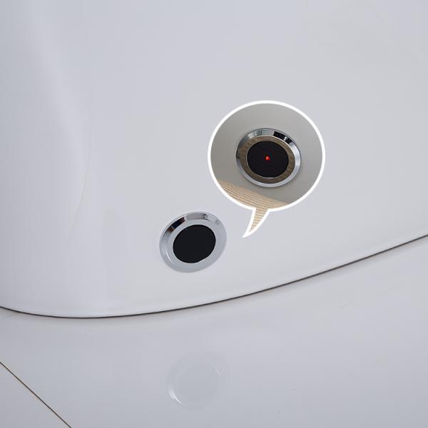 Пол системы туалета гостиницы умный - установил умный туалет автоматическое топя 220V