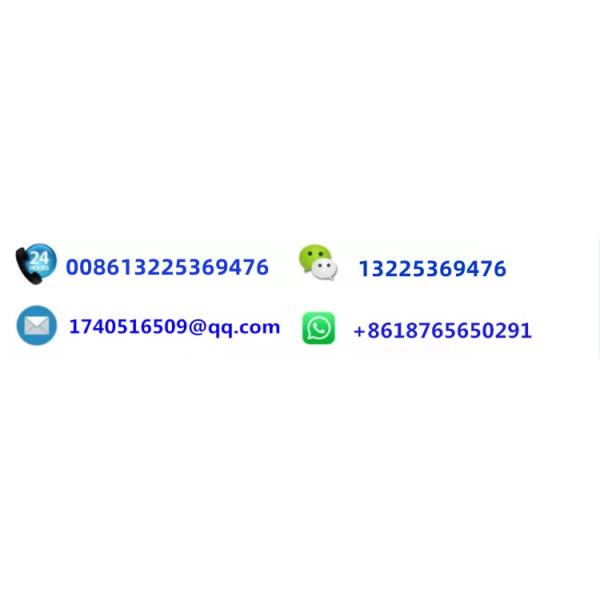 PC Sheet Cover Greenhouse The Perfect Solution for Large-Scale Hydroponic Supply