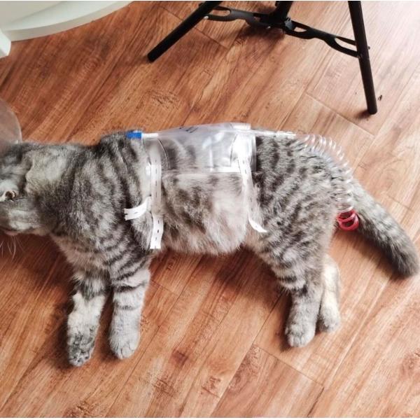 Bolsa de orina veterinaria desechable para mascotas Cat and Dog 300ml/500ml/1000ml Cuidado urinario para mascotas