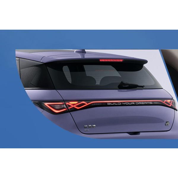 Дельфин полностью электрические хэтчбекные автомобили 5-местные литий-железофосфатные батареи