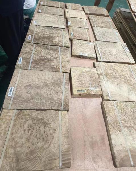 Faisceau de faisceau de bois naturel de 0,45 mm avec support de tissu