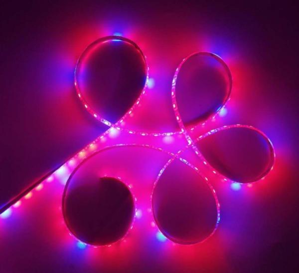 5050 SMD Waterproof Indoor Plant Grow Lights