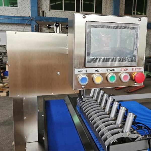 Máquina de sierra de cinta industrial de doble corte automático para costillas de res congeladas con corte preciso y exacto