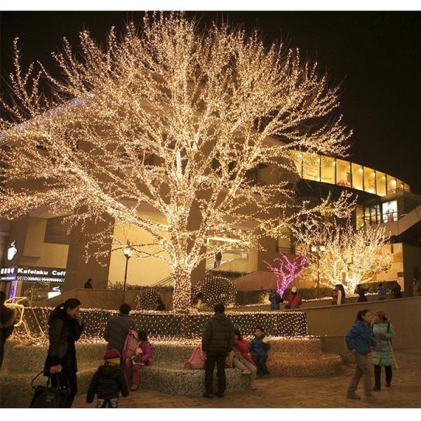 Solar Power Efficient Color Changing Christmas Globe String Lights 8 Modes 100 Led Variable Light Bulb Shape Fairy Hanging Decor