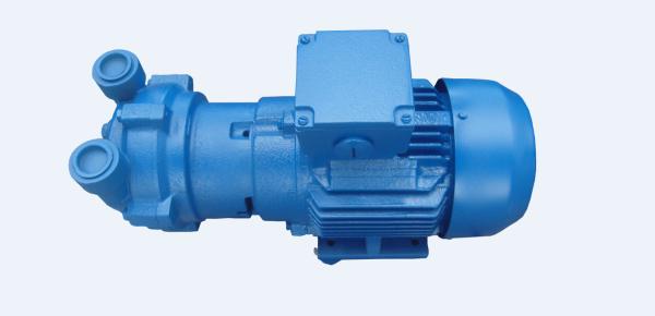 380v Liquid Ring Vacuum Pump Customized Color With Explosion - Proof Motor