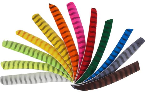 2/2.5/3/4/5 Inches Natural Turkey Right/Left Wing Parabolic And Shield Cut ,Solid And Barred Arrow Natural  Feather