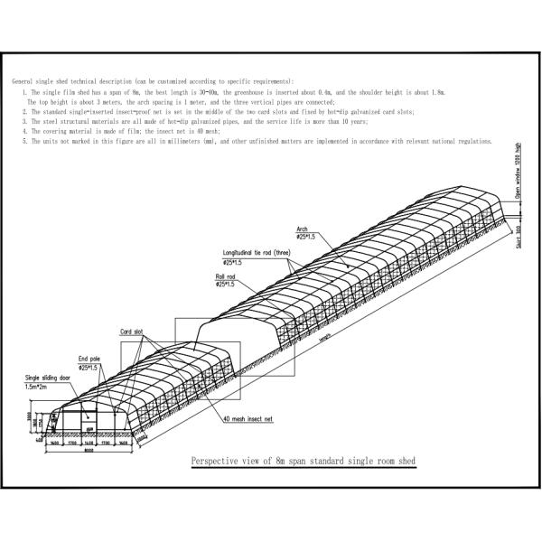 Rose Cherry Tomato Plastic Cover Greenhouse Single Span With Hydroponics System