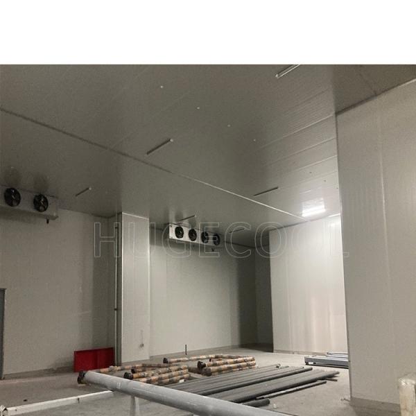 Customização Sistema de refrigeração comercial para peixe Frutas e legumes Armazenamento Sala de congelação