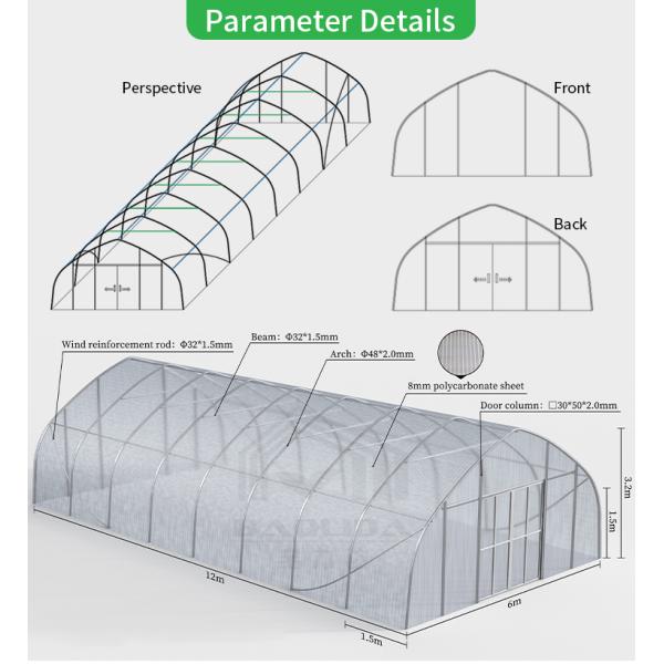 Baolida 6x12m Gothic Tunnel Greenhouse with 8mm PC Board Cover