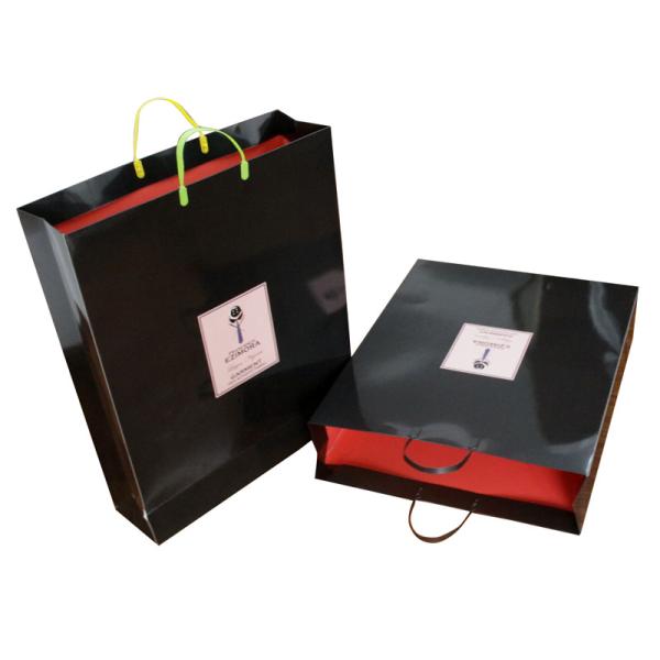 Eco-friendly 250gsm Paper Carrier Bag Artpaper Matt Coated PVC Handle