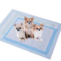 Pads de Treinamento de Cachorro Desutilizáveis Eco-Amigáveis Proof Leak High Absorptivity Pet Cat Pee Pad
