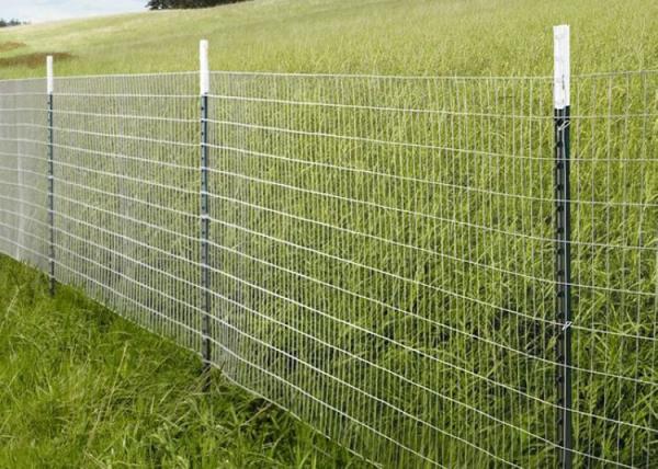 Rehabilitation Center V Mesh Security Fencing Training Area